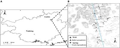 Community characteristics of autotrophic CO2-fixing bacteria in karst wetland groundwaters with different nitrogen levels
